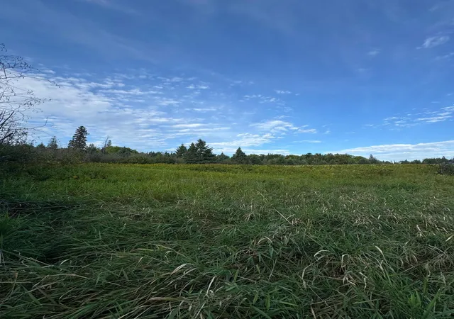 Photo 4 of Land for sale at Tbd Gull Lake Loop Rd, Hines, MN 56647 | MLS# 7141307 | Listing updated on 2026-09-29