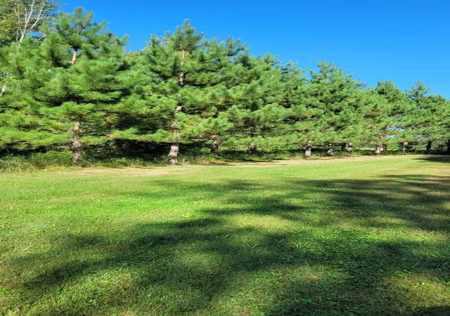 Photo 2 of Sale Pending at 1393 Cottonwood Trl Sw, Pine River, MN 56474 | MLS# 7141532 | Listing updated on 2026-09-14