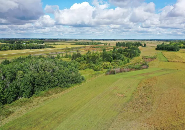 Photo 3 of Land for sale at 23307 210th Avenue N, Ulen, MN 56585 | MLS# 7141817 | Listing updated on 2026-09-14