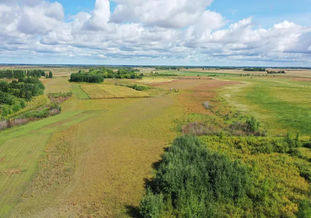 Photo 3 of Land for sale at 23307 210th Avenue N, Ulen, MN 56585 | MLS# 7141817 | Listing updated on 2026-09-14