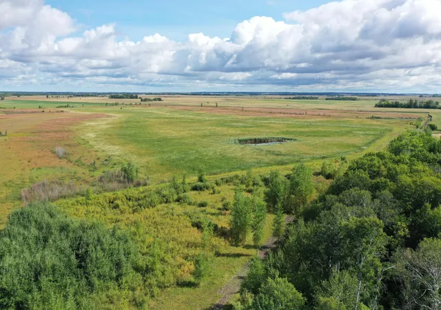 Photo 4 of Land for sale at 23307 210th Avenue N, Ulen, MN 56585 | MLS# 7141817 | Listing updated on 2026-09-14