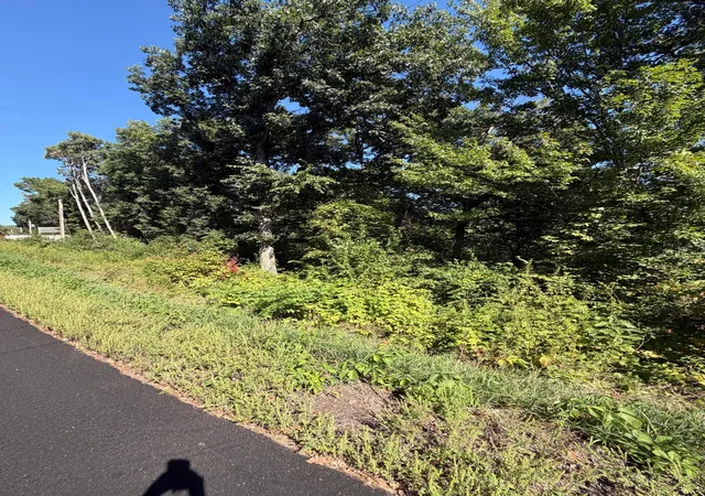 Photo 2 of Sale Pending at Tbd 101st Street, Zimmerman, MN 55398 | MLS# 7141959 | Listing updated on 2026-09-15