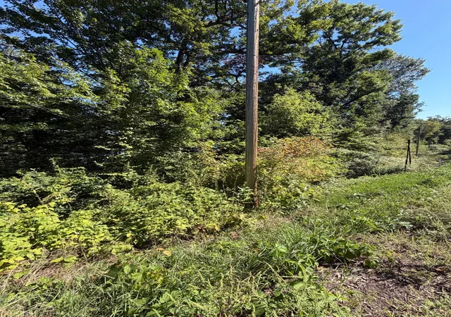 Photo 3 of Sale Pending at Tbd 101st Street, Zimmerman, MN 55398 | MLS# 7141959 | Listing updated on 2026-09-15