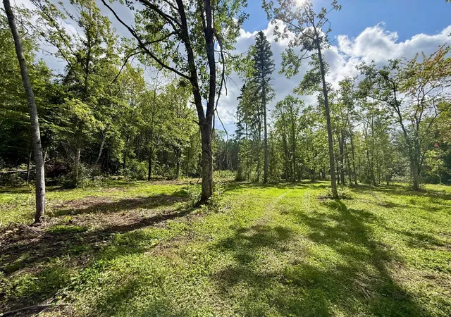 Photo 2 of Land for sale at 56305 S Dora Lake Rd, Northome, MN 56661 | MLS# 7141971 | Listing updated on 2026-09-11