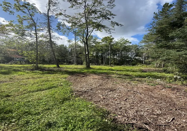 Photo 4 of Land for sale at 56305 S Dora Lake Rd, Northome, MN 56661 | MLS# 7141971 | Listing updated on 2026-09-11
