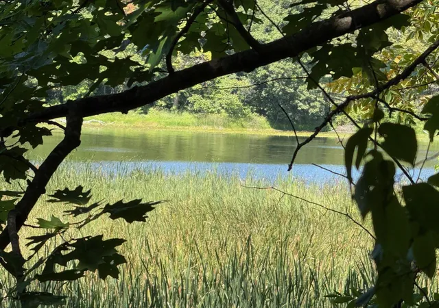 Photo 1 of Land for sale at 4xyz Pinewood Ct, Browerville, MN 56438 | MLS# 7142203 | Listing updated on 2026-09-10
