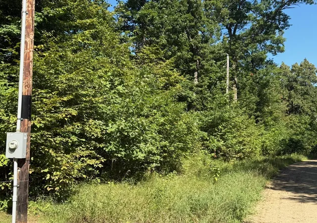 Photo 2 of Land for sale at 4xyz Pinewood Ct, Browerville, MN 56438 | MLS# 7142203 | Listing updated on 2026-09-10