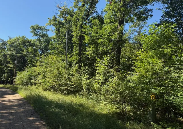 Photo 3 of Land for sale at 4xyz Pinewood Ct, Browerville, MN 56438 | MLS# 7142203 | Listing updated on 2026-09-10