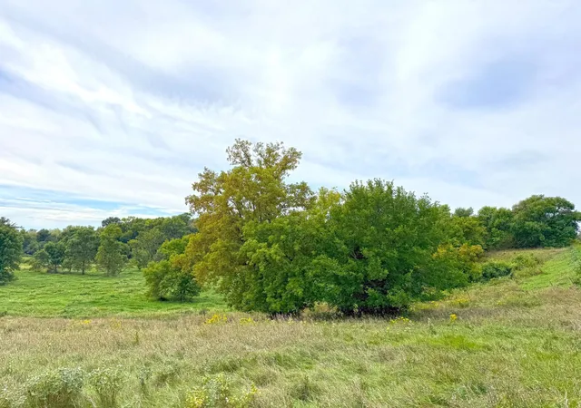 Photo 3 of Sale Pending at 107xx Douglas Ave, Maple Lake, MN 55358 | MLS# 7142215 | Listing updated on 2026-09-15