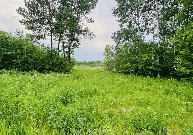 Photo 4 of Land for sale at 8514 Tennis Ter, Onamia, MN 56359 | MLS# 7142377 | Listing updated on 2026-09-10