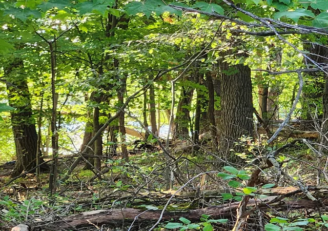 Photo 1 of Land for sale at Tbd 241st Lane, Bethel, MN 55005 | MLS# 7142818 | Listing updated on 2026-09-11