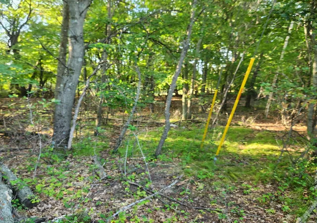 Photo 2 of Land for sale at Tbd 241st Lane, Bethel, MN 55005 | MLS# 7142818 | Listing updated on 2026-09-11