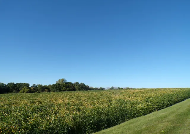 Photo 3 of Sale Pending at W8028 320th Avenue, Hager City, WI 54014 | MLS# 7142831 | Listing updated on 2026-09-29