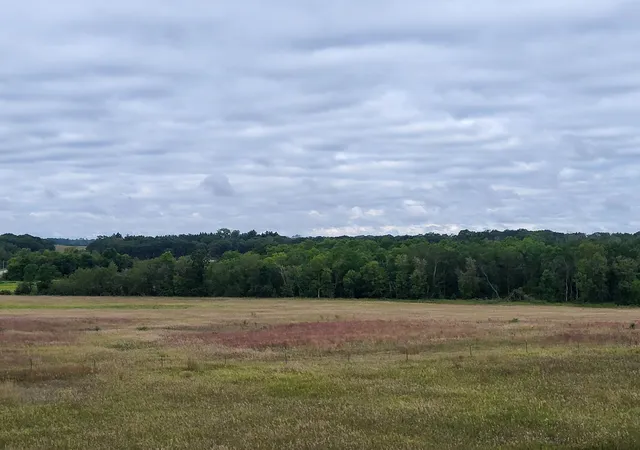 Photo 4 of Land for sale at 96 Ac 150th St, Verndale, MN 56481 | MLS# 7142911 | Listing updated on 2026-09-14