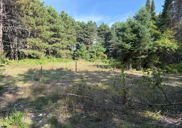Land for sale at 5435 Pine Ln, North Branch, MN 55056 | MLS# 7142931