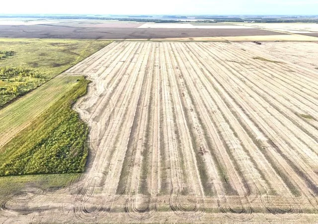 Photo 4 of Land for sale at Tbd 108 Street NE, Neche, ND 58265 | MLS# 7143024 | Listing updated on 2026-09-14
