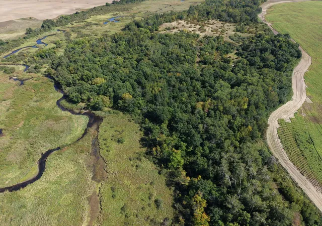 Photo 3 of Land for sale at Tbd County Rd 152, Park Rapids, MN 56470 | MLS# 7143383 | Listing updated on 2026-09-15