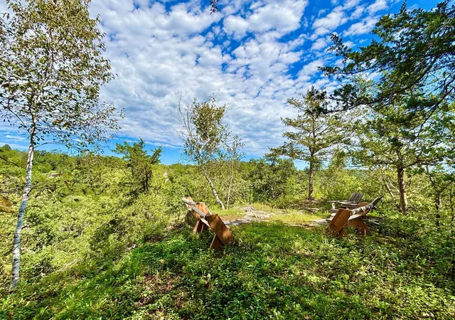 Photo 4 of Land for sale at 28185 Cr 21, Fountain, MN 55935 | MLS# 7143469 | Listing updated on 2026-09-15