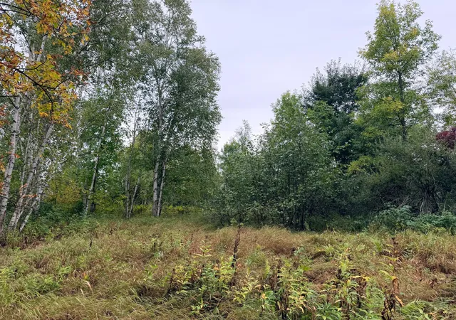 Photo 4 of Sale Pending at 84227 Denham Rd, Willow River, MN 55795 | MLS# 7143819 | Listing updated on 2026-09-29