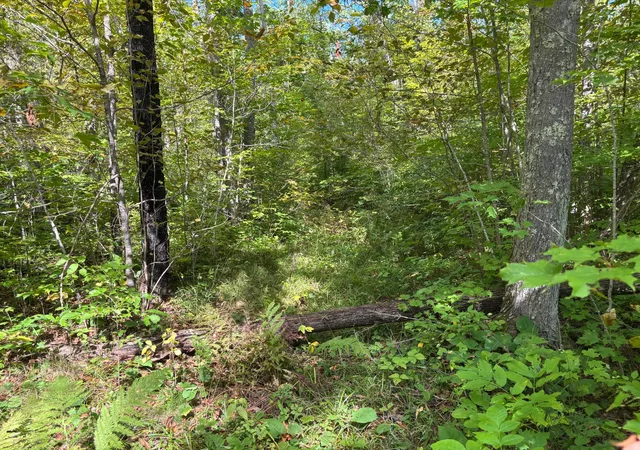 Land for sale at Tbd 235th Place, McGregor, MN 55760 | MLS# 7144444