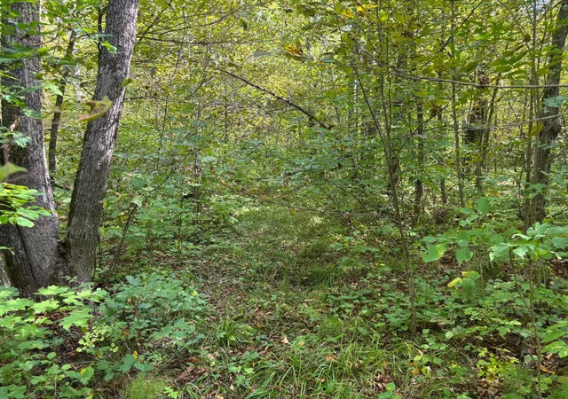 Photo 2 of Land for sale at Tbd 235th Place, Mc Gregor, MN 55760 | MLS# 7144444 | Listing updated on 2026-09-15