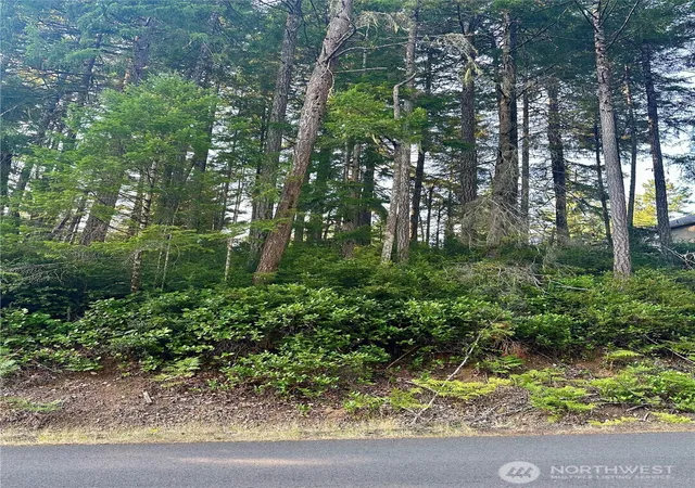 Photo 1 of Land for sale at 700 E Vine Maple Ln, Union, WA 98592 | MLS# NWM2427876 | Listing updated on 2026-09-17