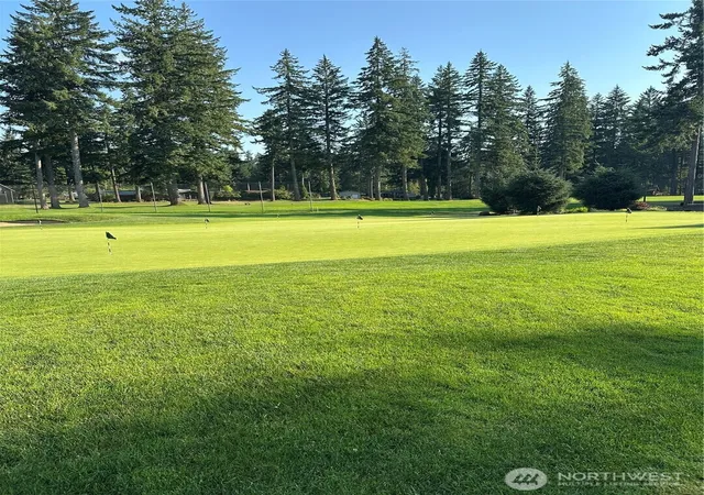 Photo 3 of Land for sale at 700 E Vine Maple Ln, Union, WA 98592 | MLS# NWM2427876 | Listing updated on 2026-09-17