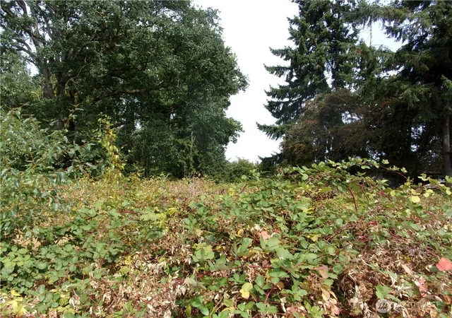 Photo 3 of Land for sale at 7727 146th Street Sw, Lakewood, WA 98439 | MLS# NWM2479359 | Listing updated on 2026-09-17