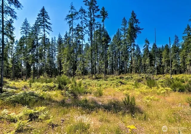 Photo 2 of Land for sale at 701 W Clear Lake Dr, Shelton, WA 98584 | MLS# NWM2479887 | Listing updated on 2026-09-17