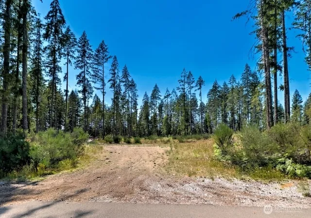 Photo 3 of Land for sale at 701 W Clear Lake Dr, Shelton, WA 98584 | MLS# NWM2479887 | Listing updated on 2026-09-17