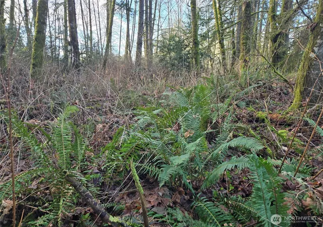 Photo 1 of Sale Pending at 233 Xx State Hwy 3 Nw, Poulsbo, WA 98370 | MLS# NWM2481202 | Listing updated on 2026-09-16