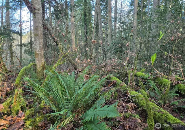 Photo 3 of Sale Pending at 233 Xx State Hwy 3 Nw, Poulsbo, WA 98370 | MLS# NWM2481202 | Listing updated on 2026-09-16