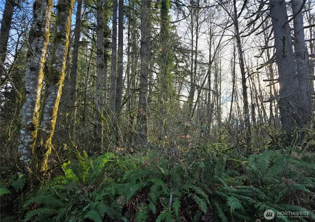 Photo 4 of Sale Pending at 233 Xx State Hwy 3 NW, Poulsbo, WA 98370 | MLS# NWM2481202 | Listing updated on 2026-09-16