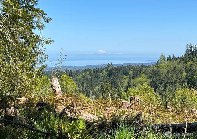 Photo 1 of Land for sale at 9999 E Half Mile Rd Lot B, Port Angeles, WA 98362 | MLS# NWM2485270 | Listing updated on 2026-09-17
