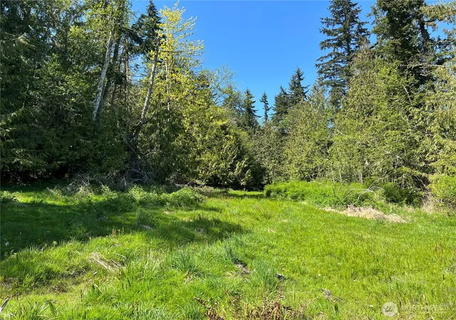Photo 2 of Land for sale at 9999 E Half Mile Rd Lot B, Port Angeles, WA 98362 | MLS# NWM2485270 | Listing updated on 2026-09-17