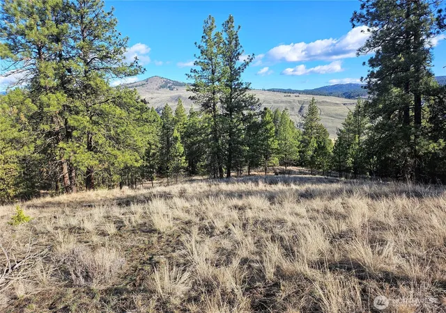 Photo 1 of Land for sale at 380 Lot Chopaka Tbd Rd, Tonasket, WA 98855 | MLS# NWM2495884 | Listing updated on 2026-09-17