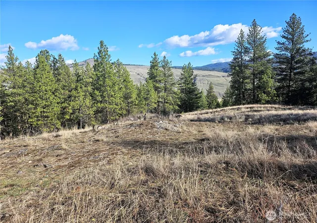 Photo 2 of Land for sale at 380 Lot Chopaka Tbd Rd, Tonasket, WA 98855 | MLS# NWM2495884 | Listing updated on 2026-09-17