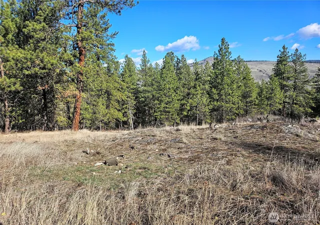 Photo 3 of Land for sale at 380 Lot Chopaka Tbd Rd, Tonasket, WA 98855 | MLS# NWM2495884 | Listing updated on 2026-09-17
