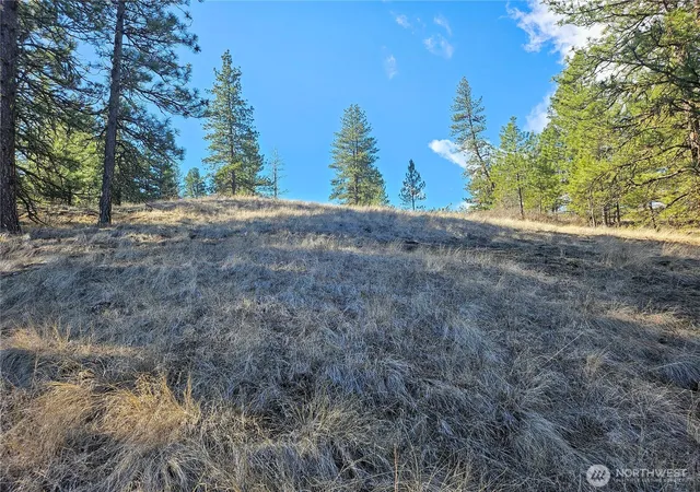 Photo 3 of Land for sale at 380 Lot Chopaka Tbd Rd, Tonasket, WA 98855 | MLS# NWM2495884 | Listing updated on 2026-09-17