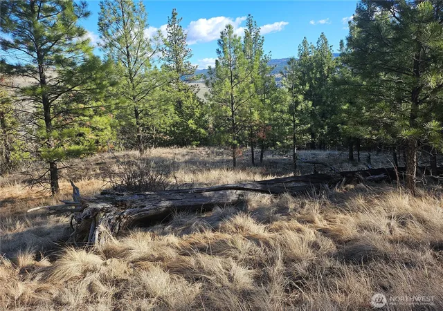 Photo 4 of Land for sale at 380 Lot Chopaka Tbd Rd, Tonasket, WA 98855 | MLS# NWM2495884 | Listing updated on 2026-09-17