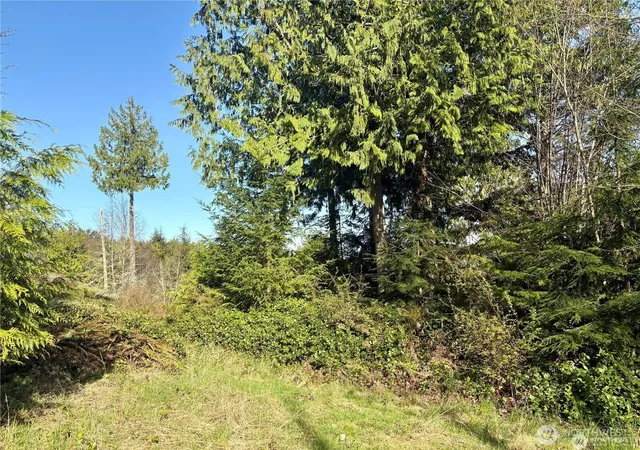 Photo 4 of Land for sale at 103 Wells Ridge Ct, Port Ludlow, WA 98365 | MLS# NWM2506286 | Listing updated on 2026-09-29