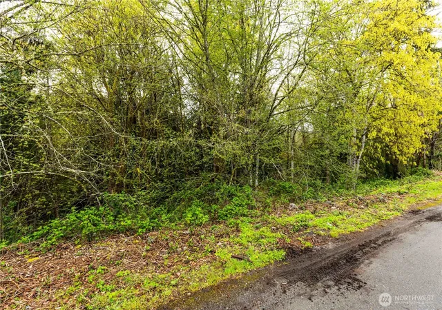 Photo 3 of Land for sale at 8893 Martin Ave NW, Silverdale, WA 98383 | MLS# NWM2506941 | Listing updated on 2026-09-21