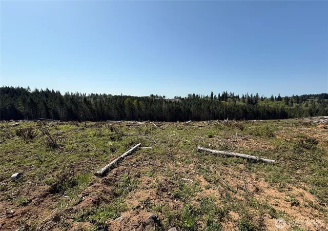 Photo 3 of Sale Pending at 7 Xx Centralia Alpha Rd, Chehalis, WA 98532 | MLS# NWM2506980 | Listing updated on 2026-09-14
