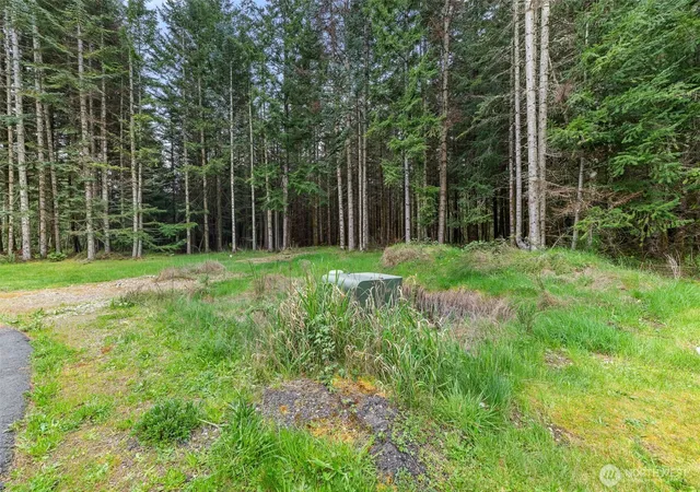 Photo 3 of Land for sale at 14439 Kayson Ln SE, Tenino, WA 98589 | MLS# NWM2511348 | Listing updated on 2026-09-21