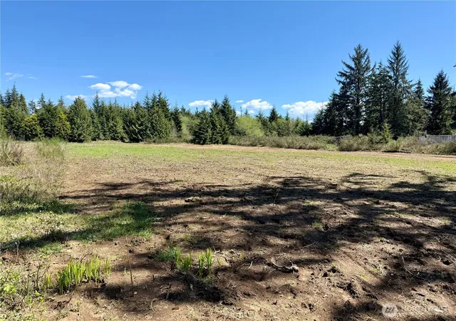 Photo 3 of Land for sale at 81 Xxx Plum St, Aberdeen, WA 98520 | MLS# NWM2513604 | Listing updated on 2026-09-21