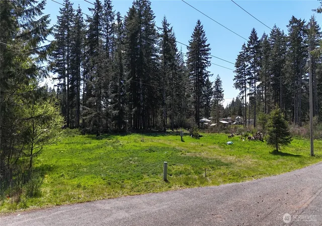 Photo 1 of Land for sale at 170 W Blackberry Ln, Elma, WA 98541 | MLS# NWM2514553 | Listing updated on 2026-09-21