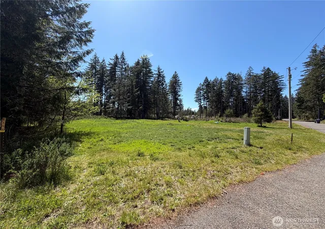 Photo 2 of Land for sale at 170 W Blackberry Ln, Elma, WA 98541 | MLS# NWM2514553 | Listing updated on 2026-09-21