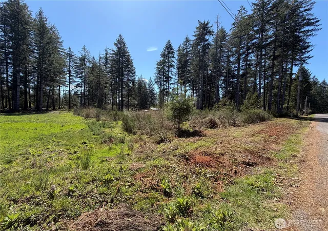 Photo 4 of Land for sale at 170 W Blackberry Ln, Elma, WA 98541 | MLS# NWM2514553 | Listing updated on 2026-09-21