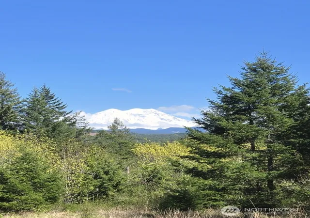 Photo 2 of Land for sale at 15521 Scott Turner Rd E, Eatonville, WA 98328 | MLS# NWM2518262 | Listing updated on 2026-10-01
