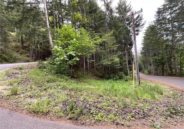 Photo 1 of Land for sale at 1 Xx N Colony Surf Dr, Lilliwaup, WA 98555 | MLS# NWM2518750 | Listing updated on 2026-09-17